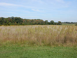 Gettysburg Museum